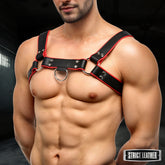Leather English Bull Dog Harness Black/Red